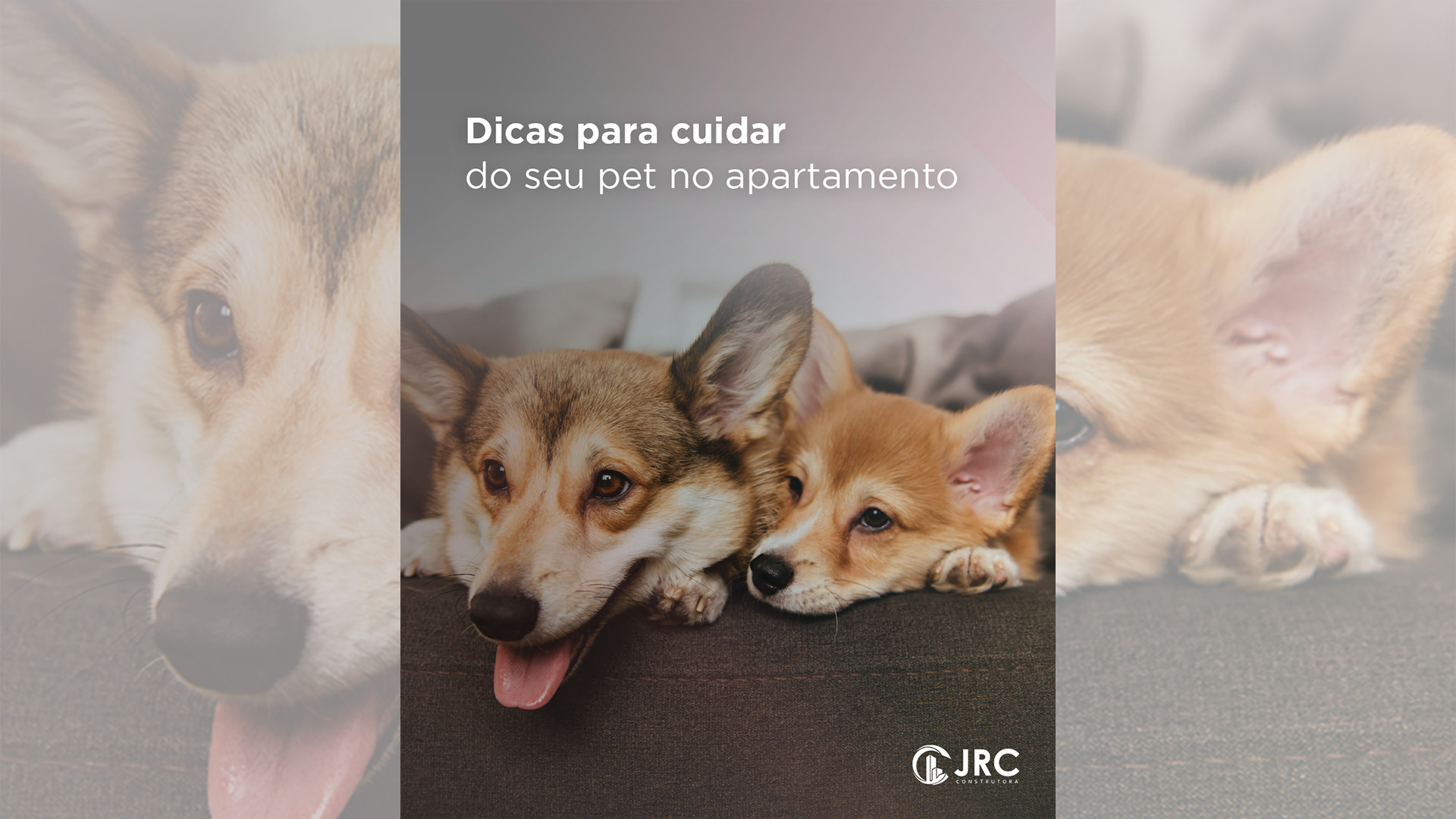 construtora-jrc construtora-jrc